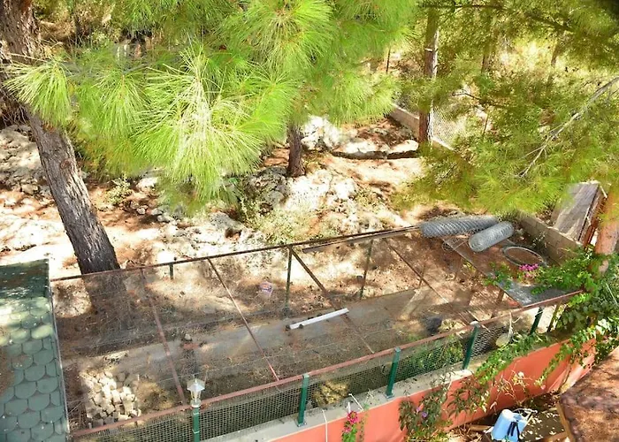 Ormanin Icinde Genis Havuzlu Triplex Villa